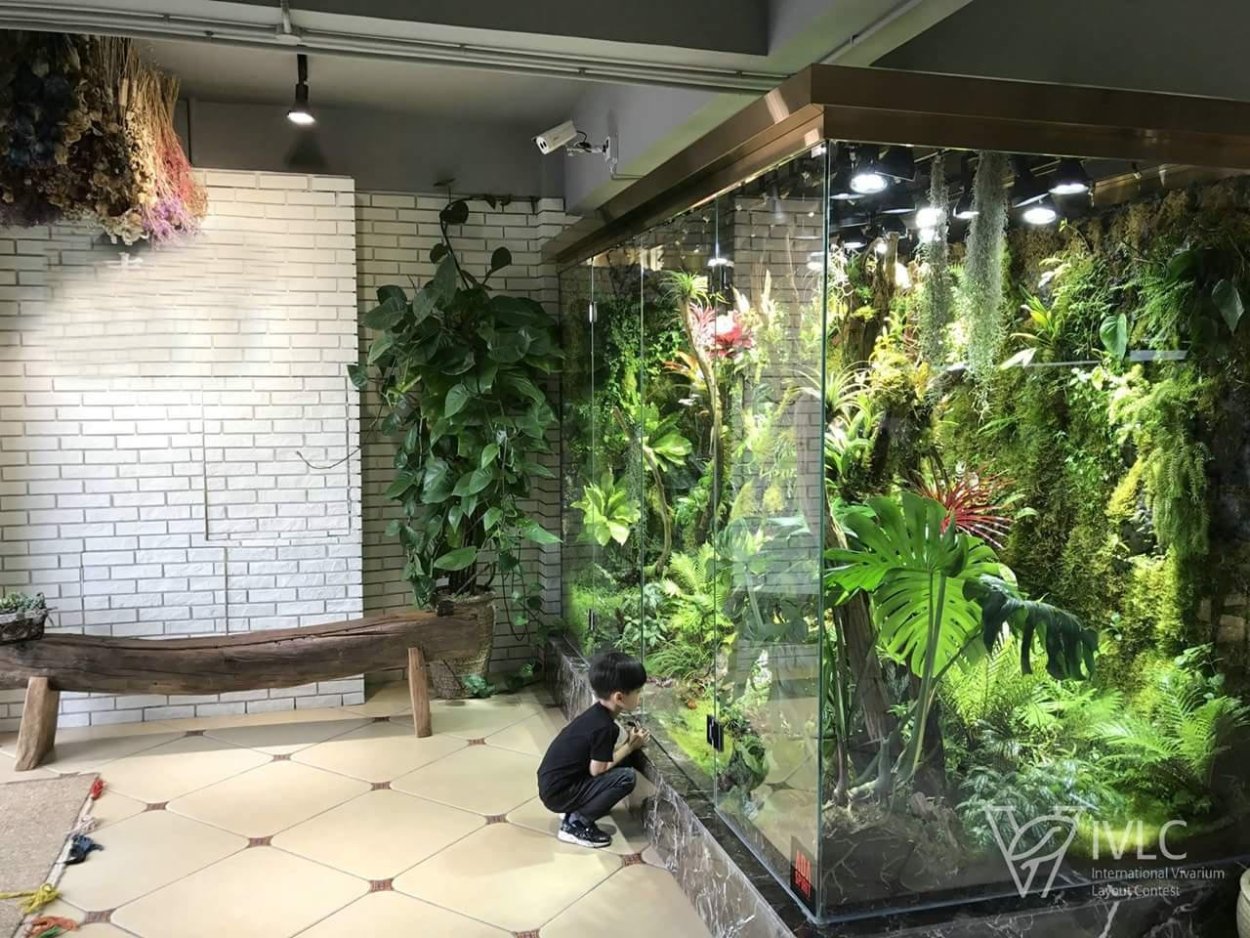 Палюдариум в интерьере