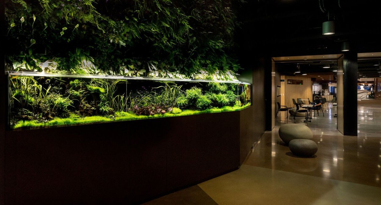 Палюдариум Tank 60 черный