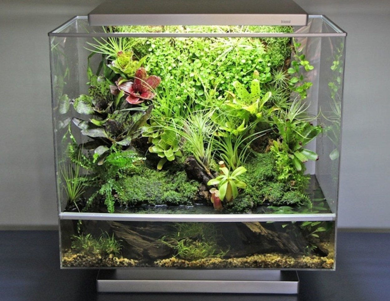 Аквариум палюдариум террариум
