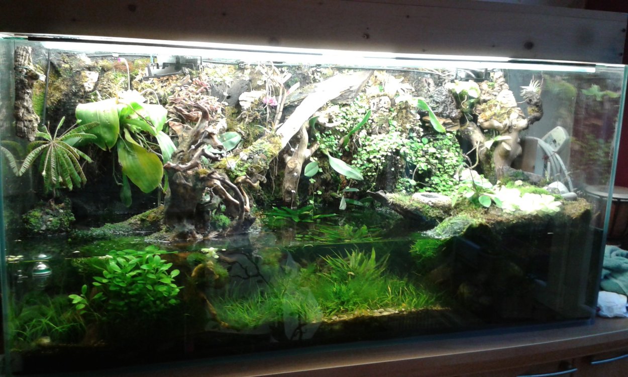 Палюдариум с водопадом