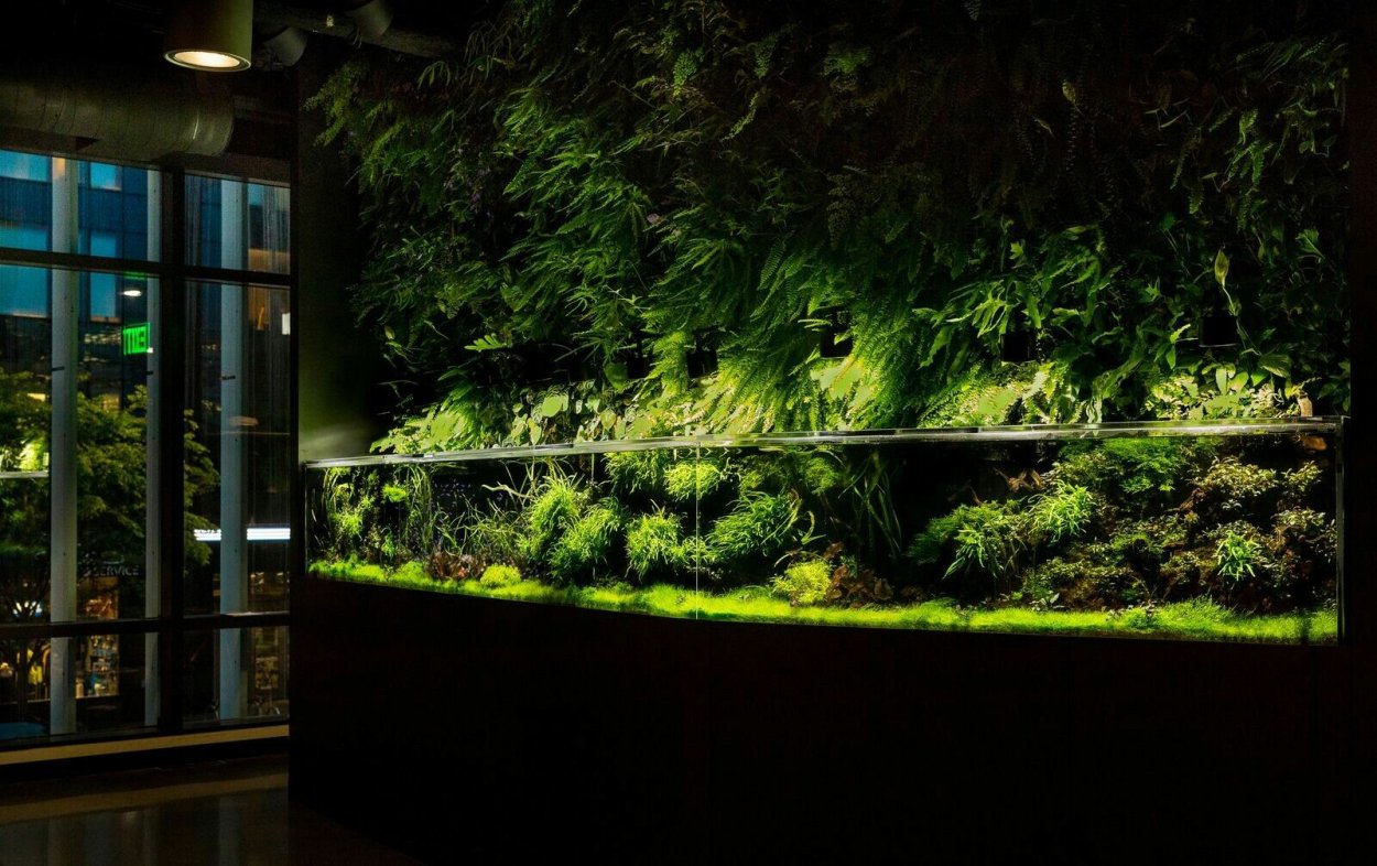 Акватеррариум акваскейп