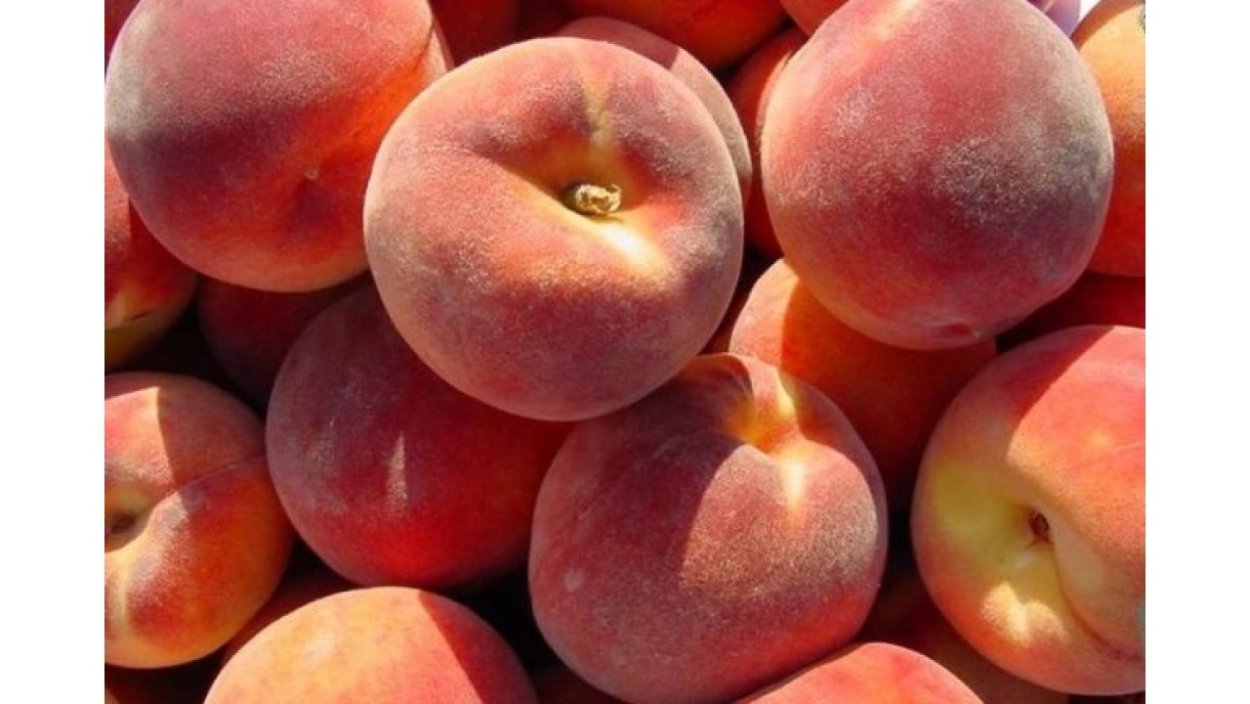 Персик Эрли ред