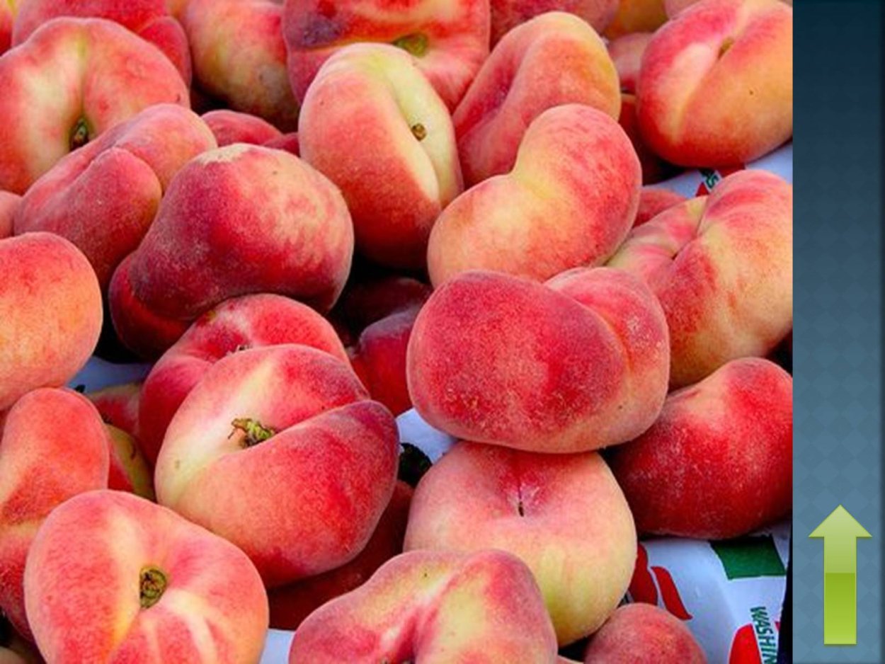 Персик Инжирный, Узбекистан