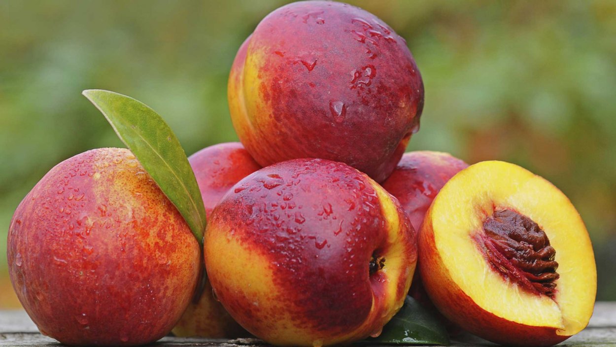 Персик и нектарин