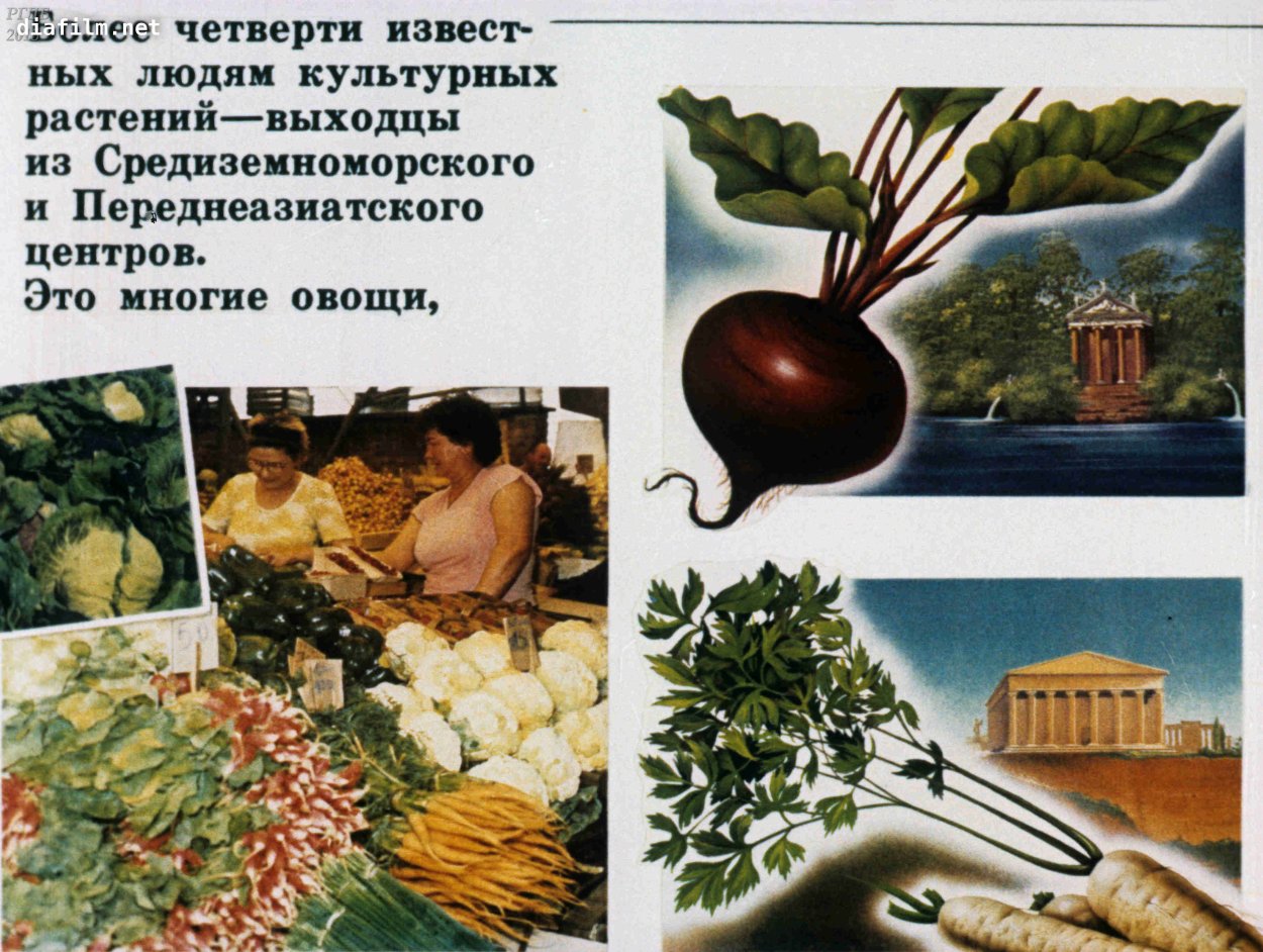 Композиции из культурных растения