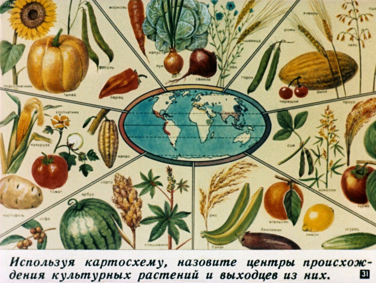 Культурные растения