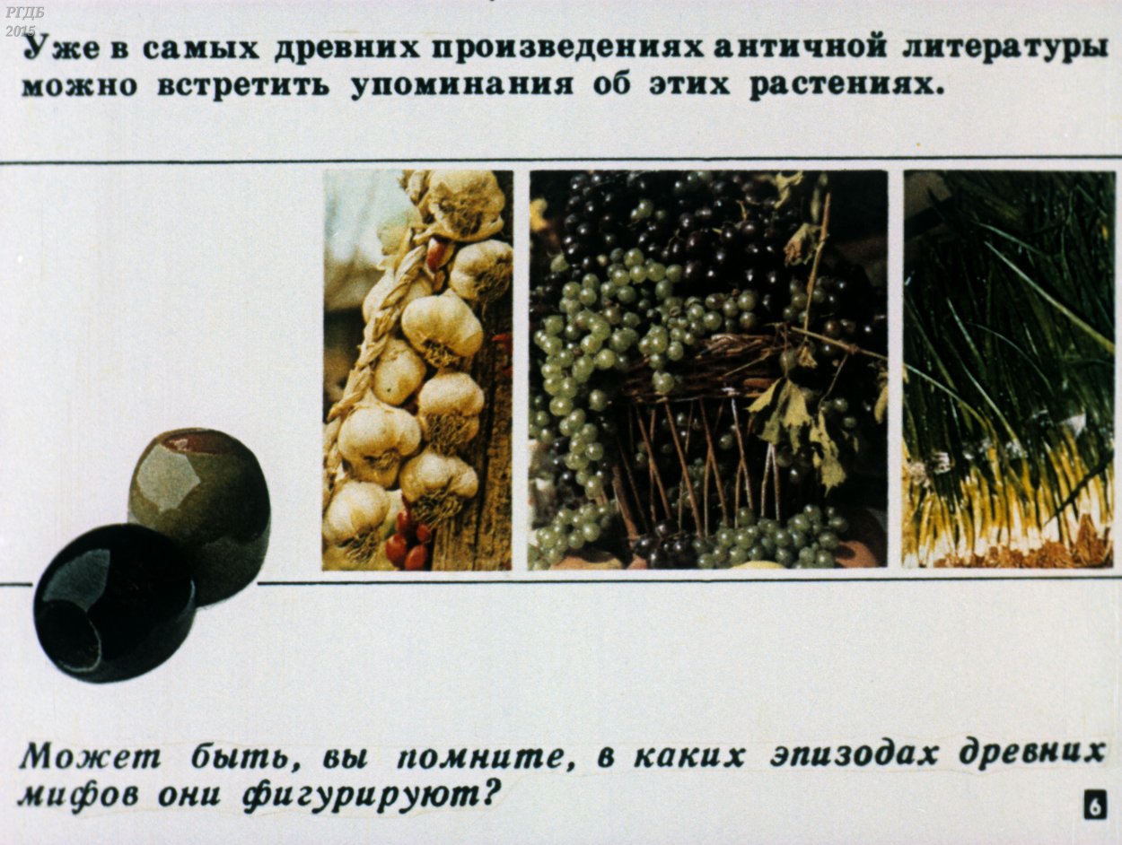 Центры культурных растений по Вавилову таблица