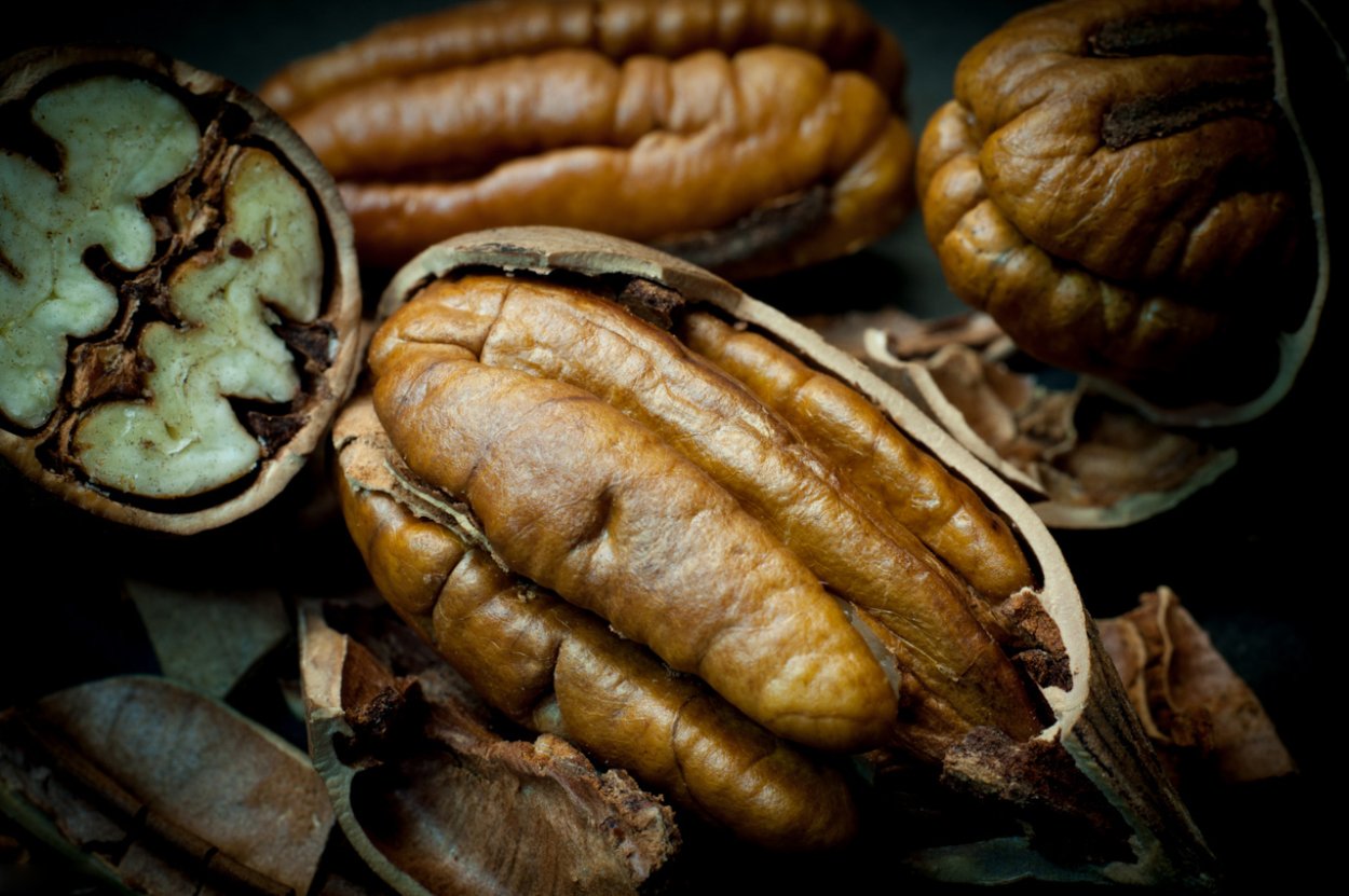 Кария иллинойская (пекан)