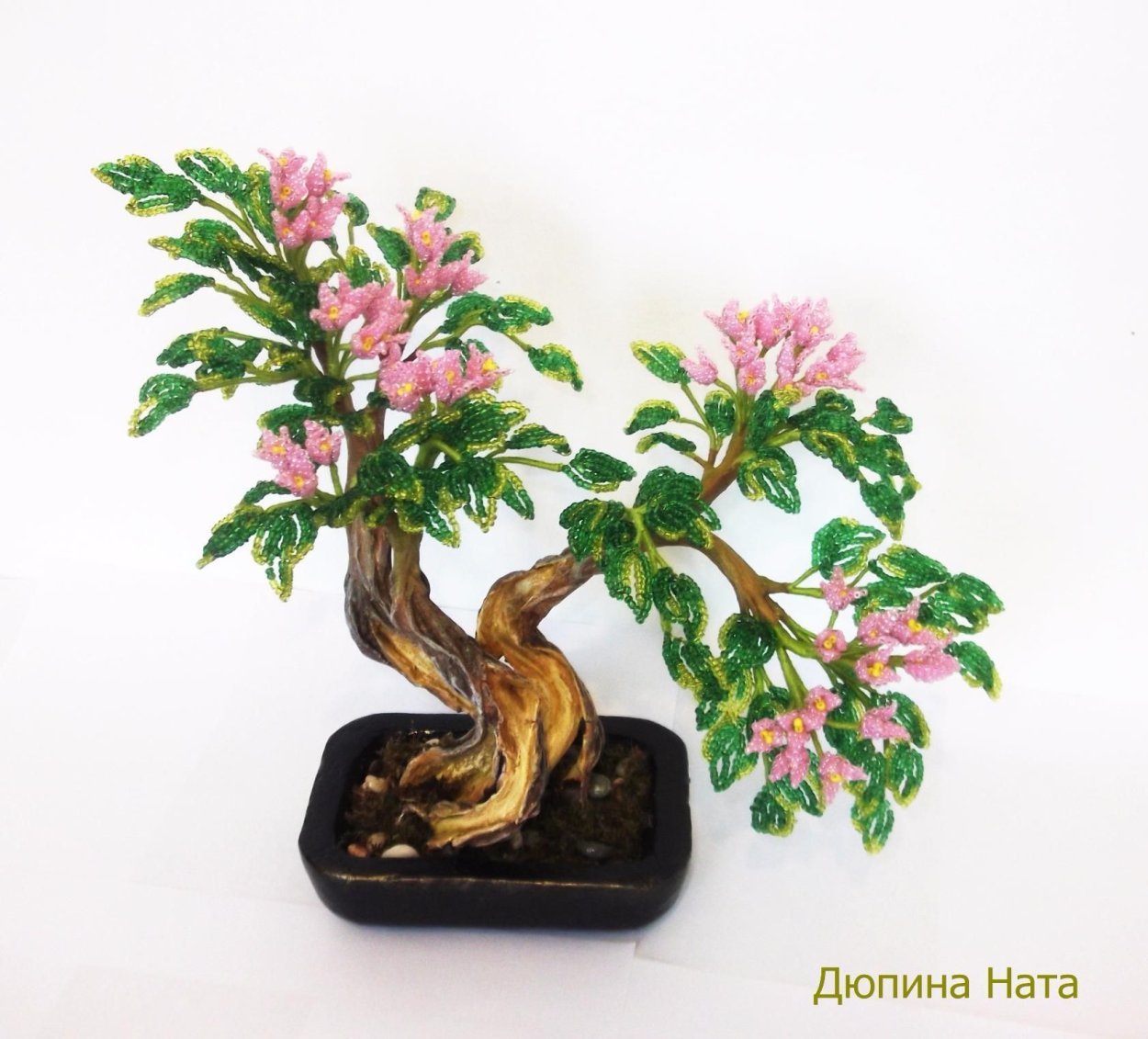 Рододендроны и ниваки