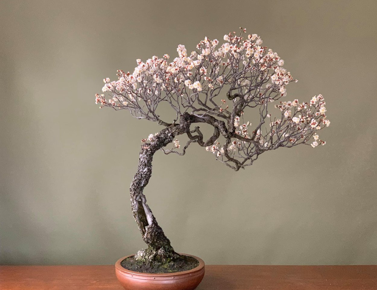 Дерево «Магнолия» (искусственный ствол, h=160 см)