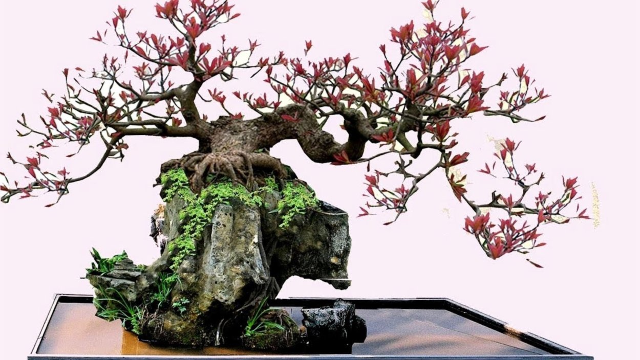 Деревья из бисера