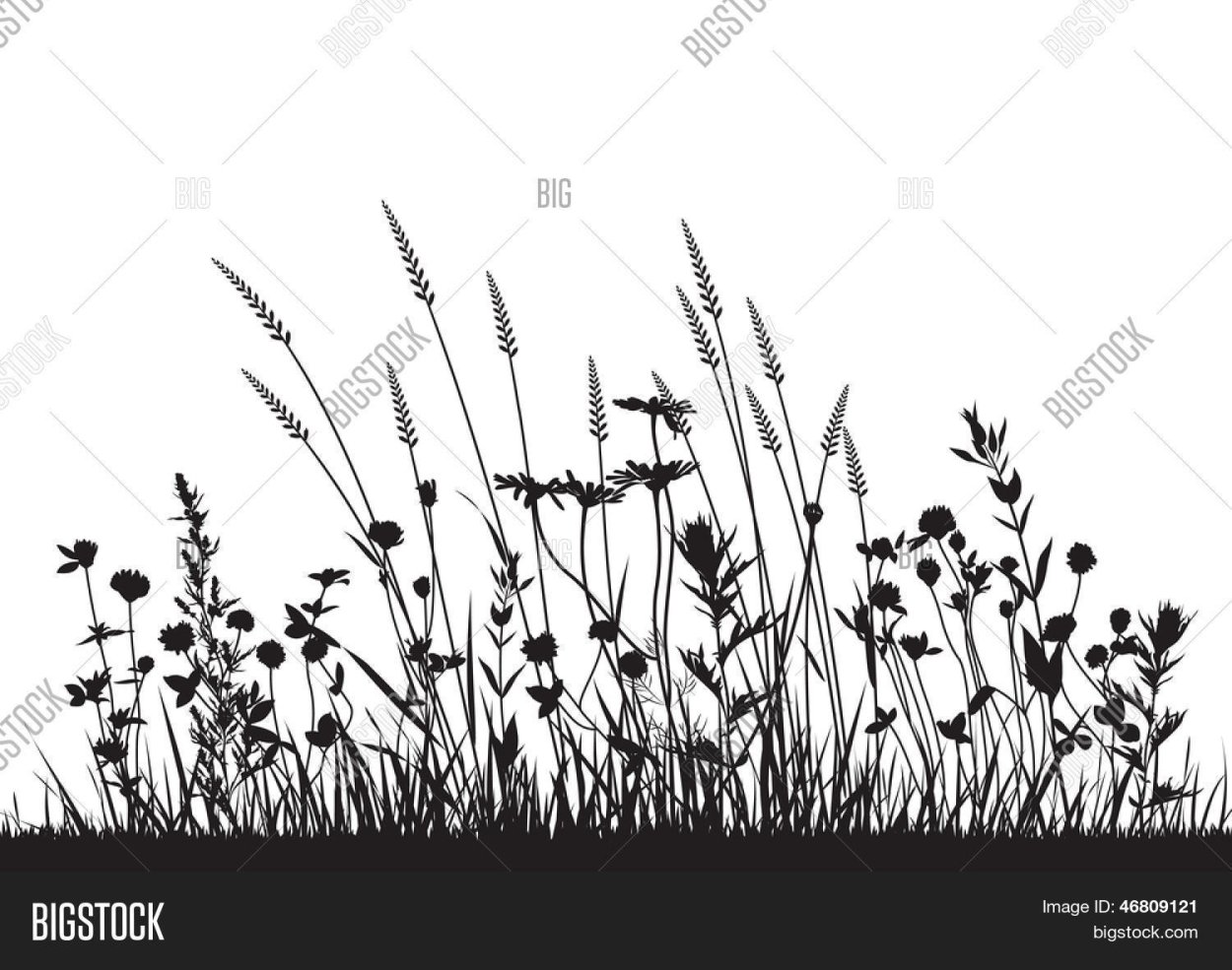 Лесная трава вид сверху