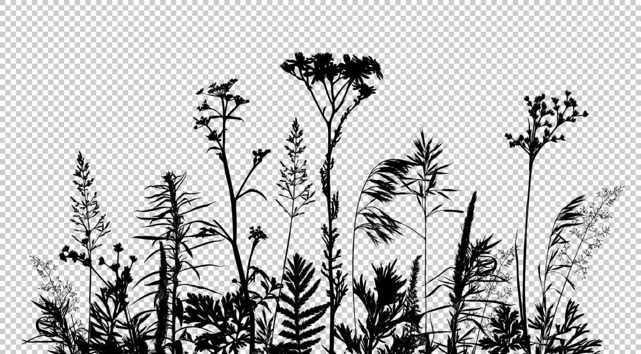 Высокая трава