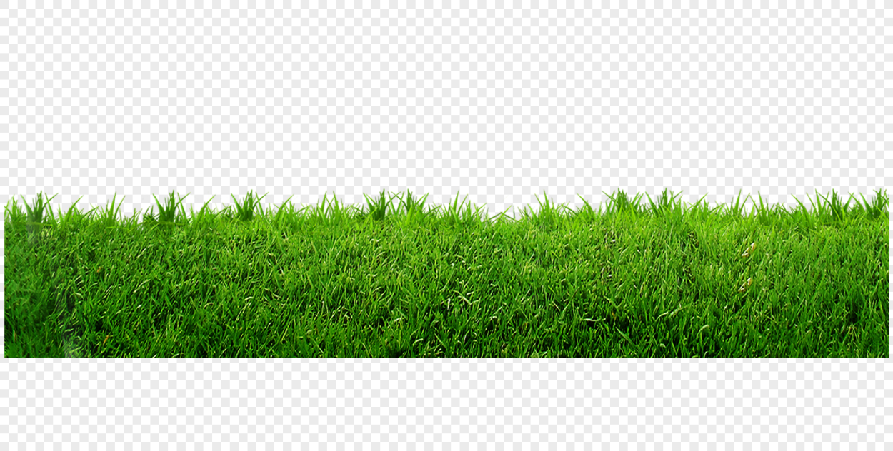 Тату растения эскизы