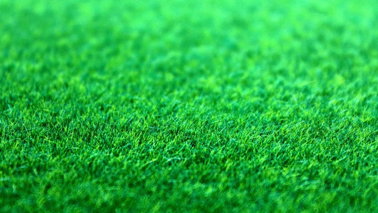 Фон трава сверху