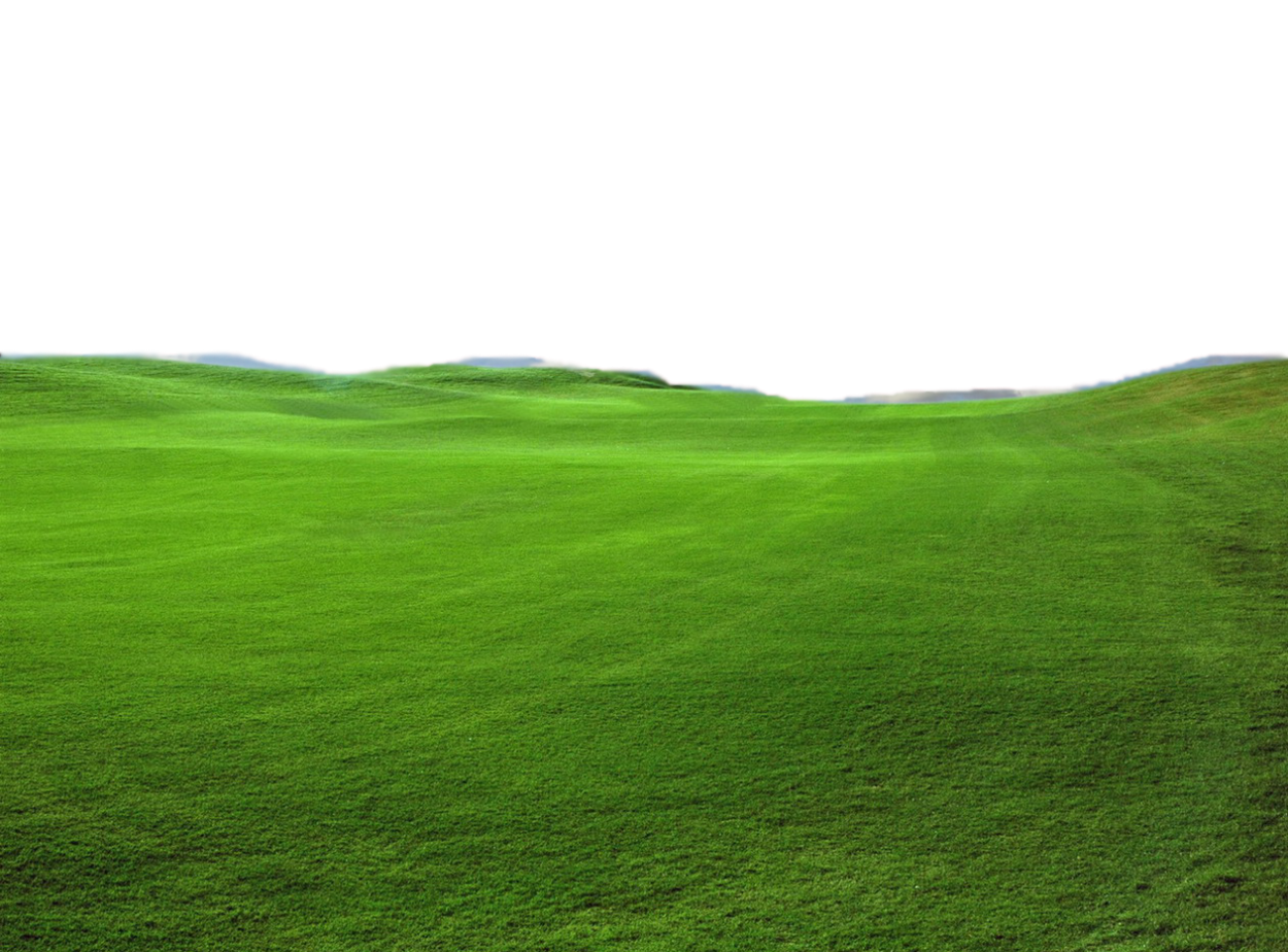 Зеленый газон