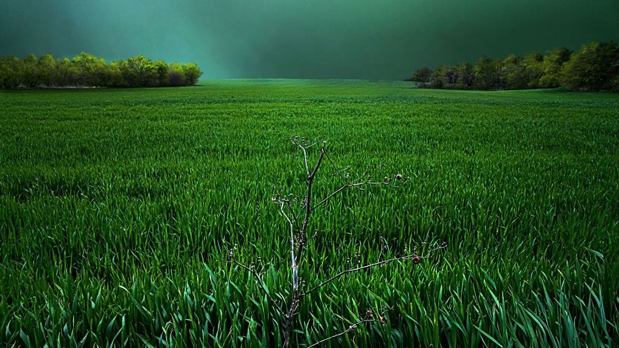 Зеленые тучи