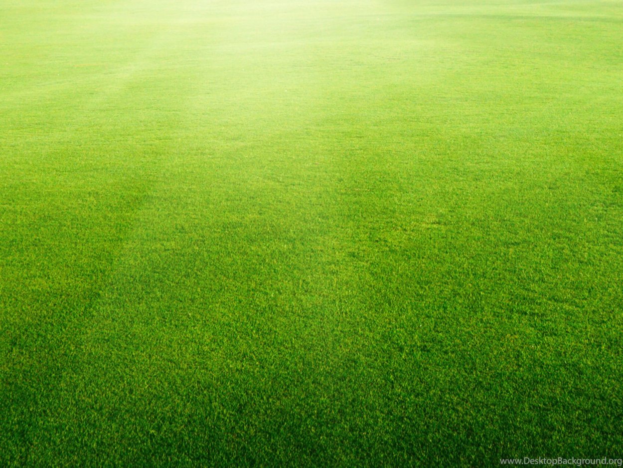 Софтбольное поле