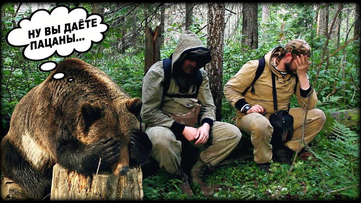 Тайга приколы