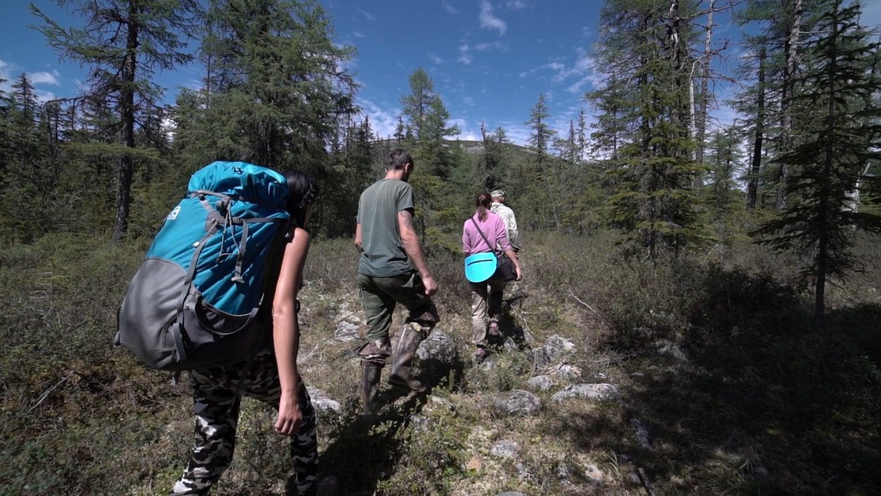 Геологи в тайге