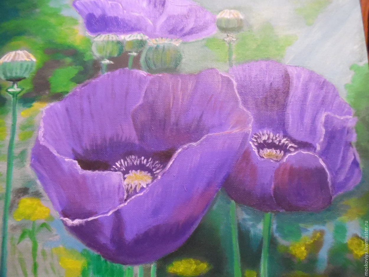 Картина сиреневые маки