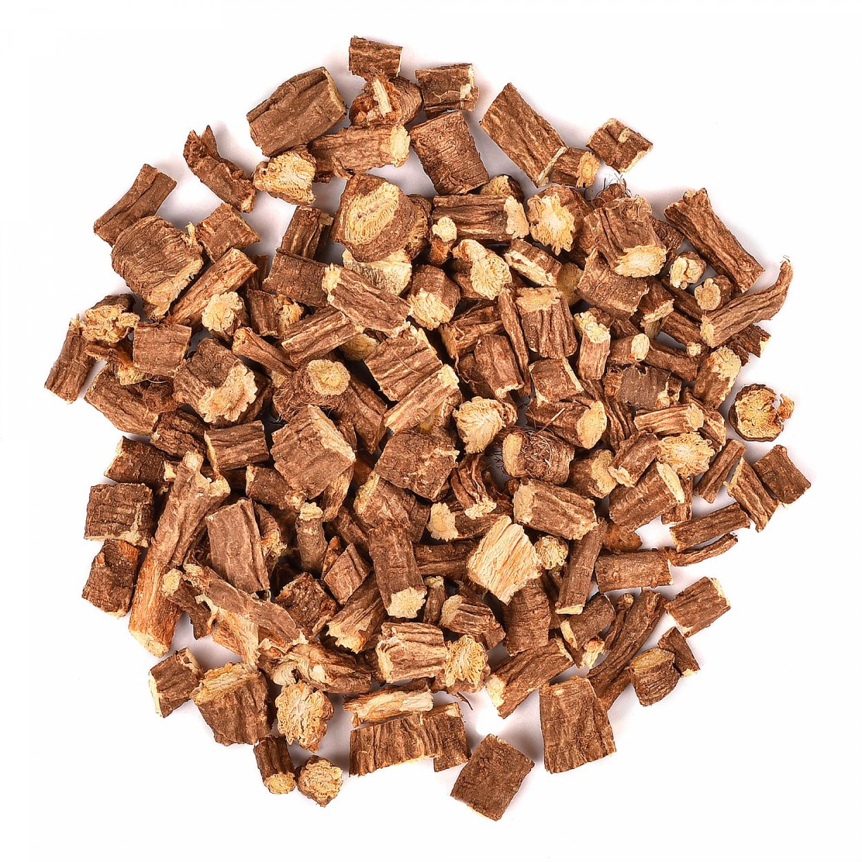 Растение сапожниковия растопыренная в Забайкалье