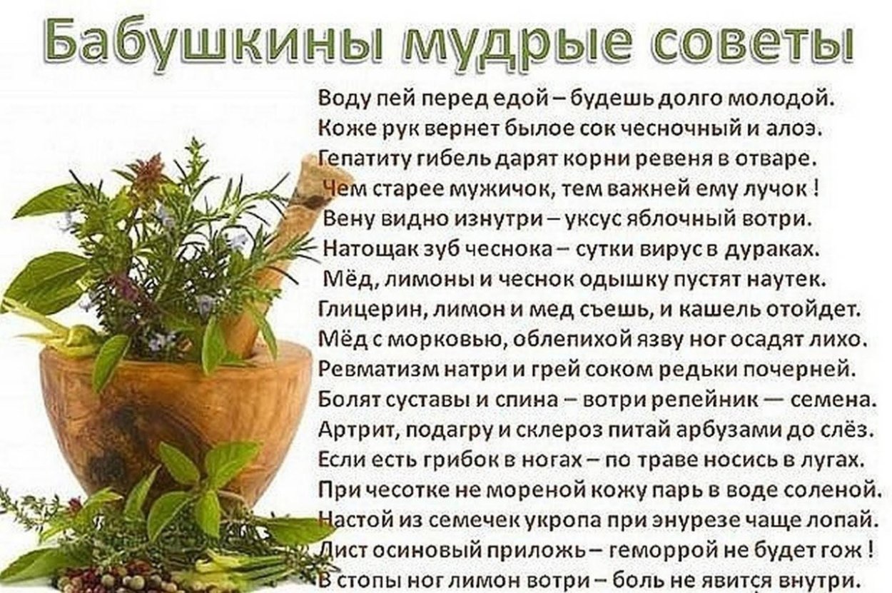 Мудрые советы