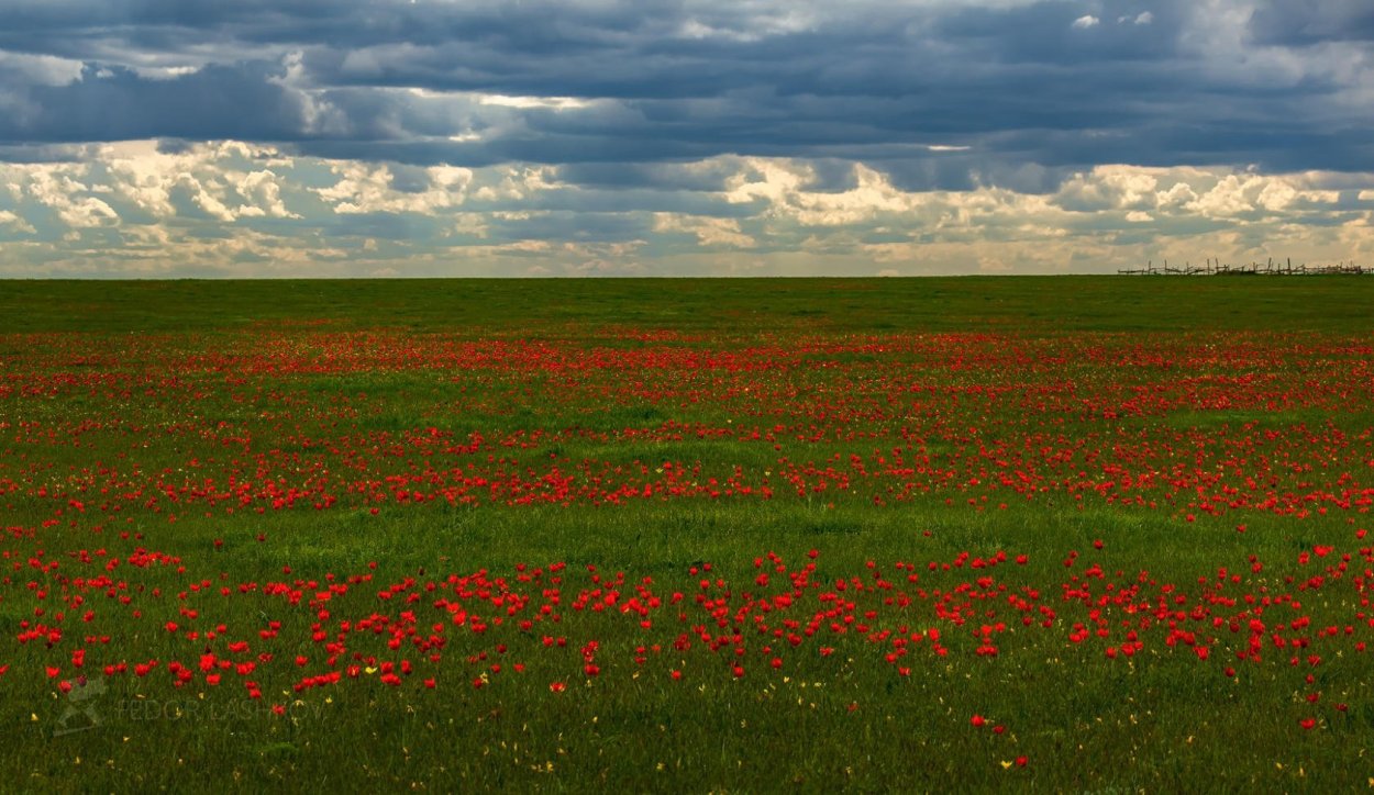 Орловский заповедник Ростовская область