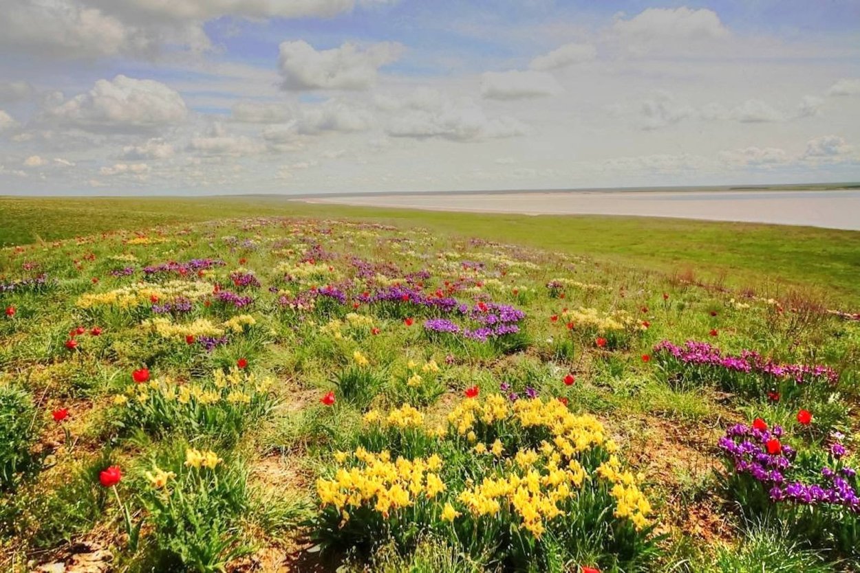 Государственный природный биосферный заповедник «Ростовский»