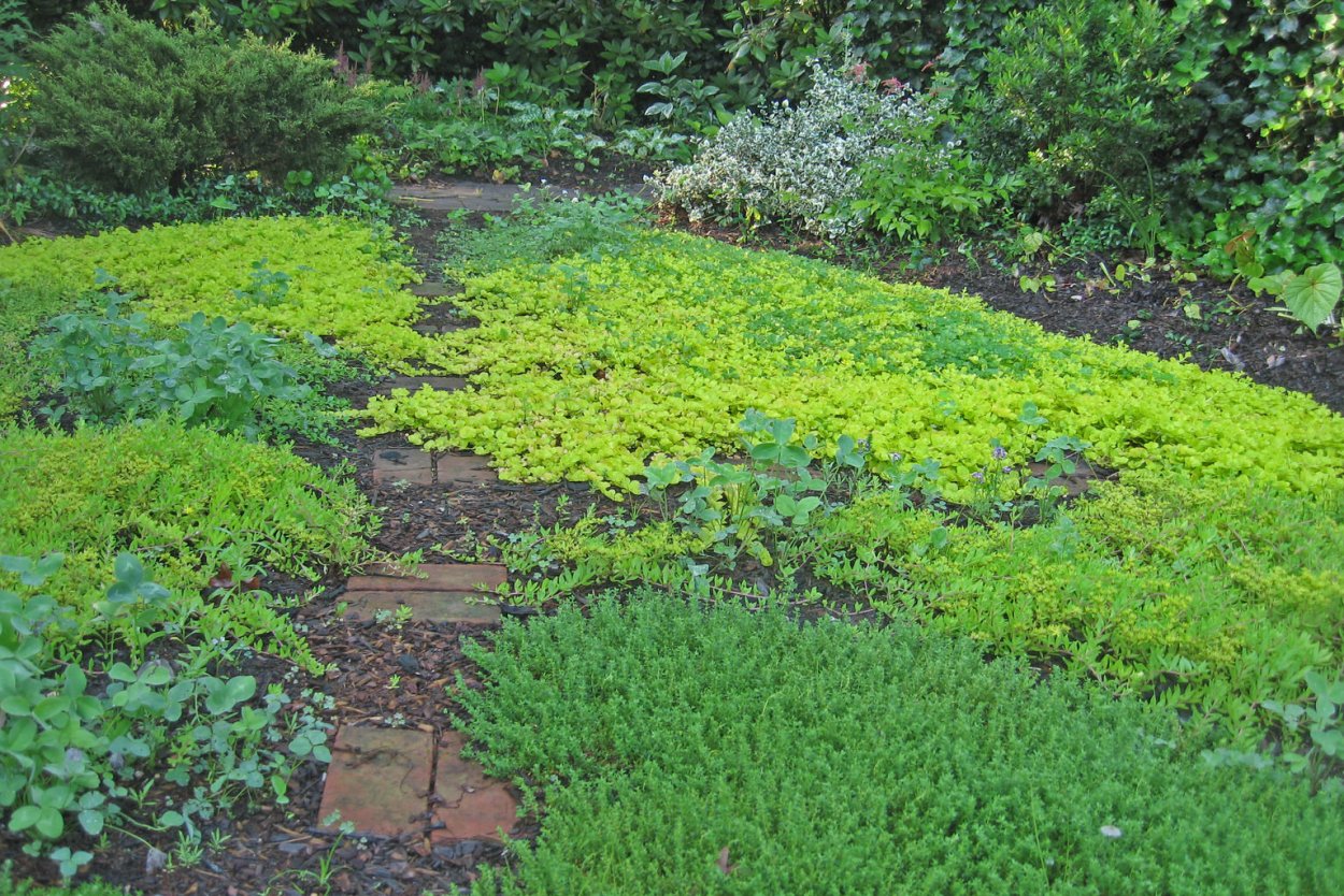 Парковая Куртина