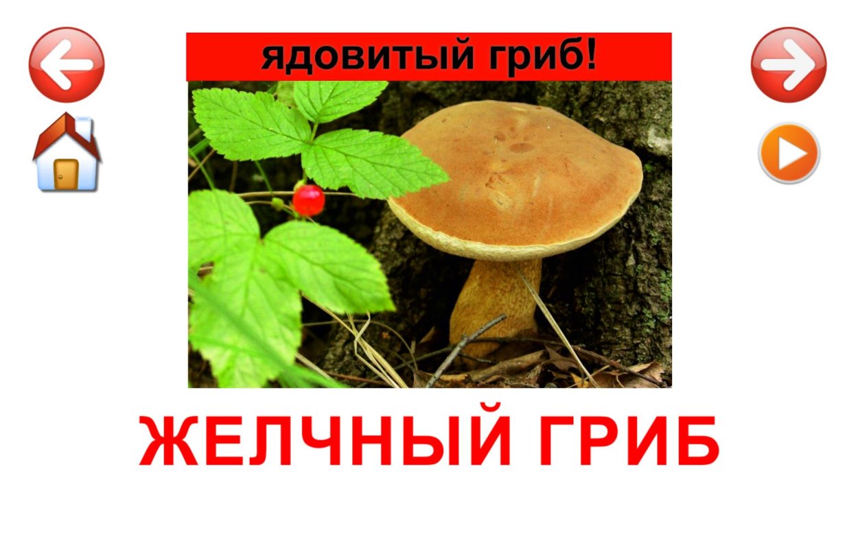 Грибы лисички сыросолёные 285г