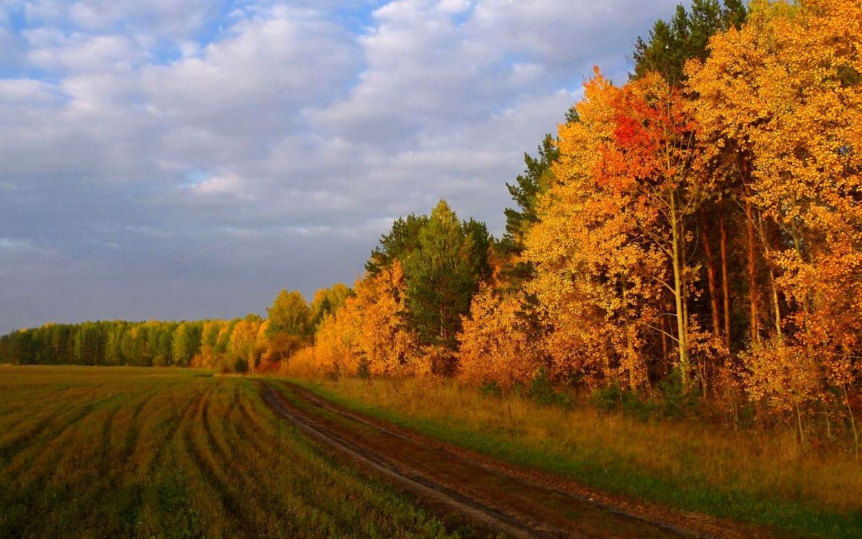 Пейзаж осени