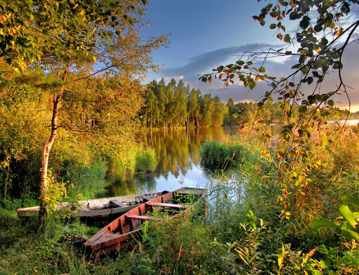 Природа России