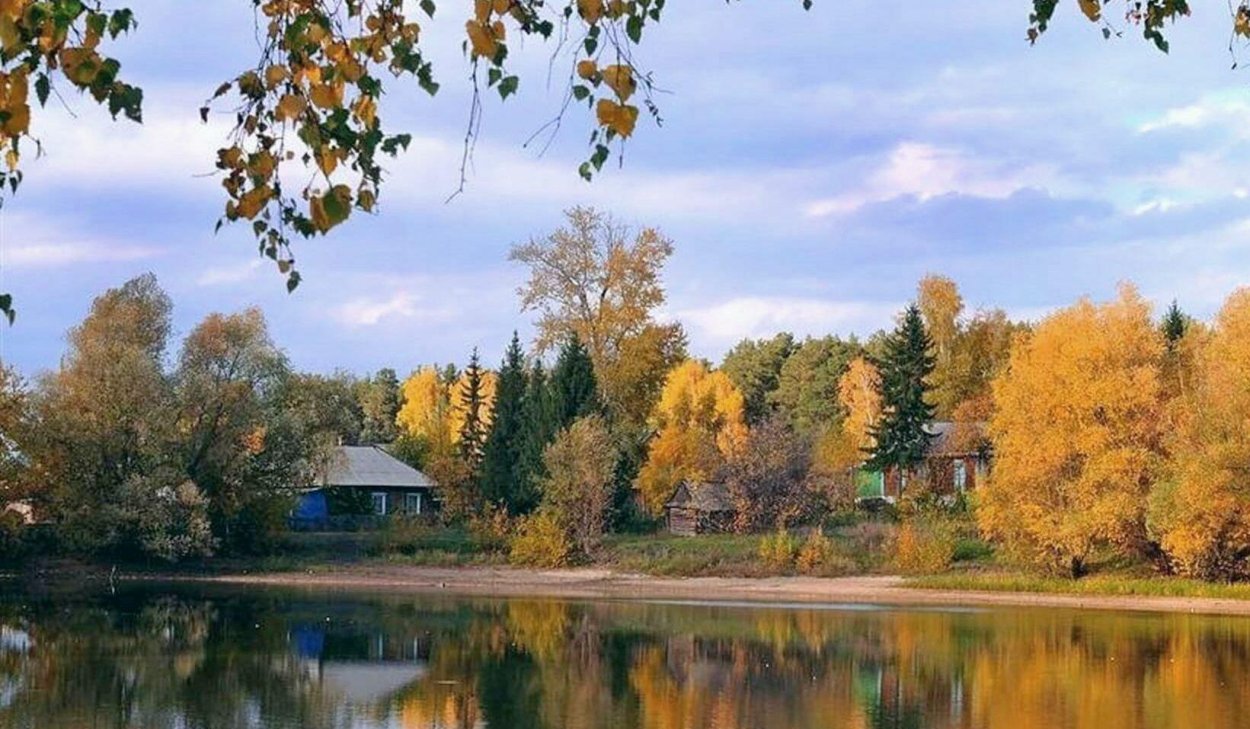 Осенний лес