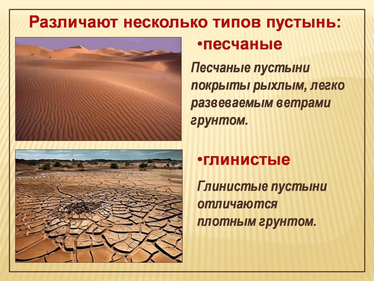 Особенности сообщества пустыни. Пустыни презентация. Пустыни песчаные и глинистые. Пустыня презентация. Презентация на тему пустыня.