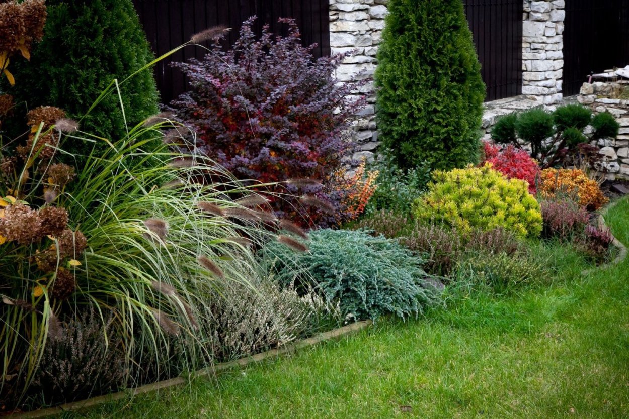 Длинный миксбордер вдоль забора