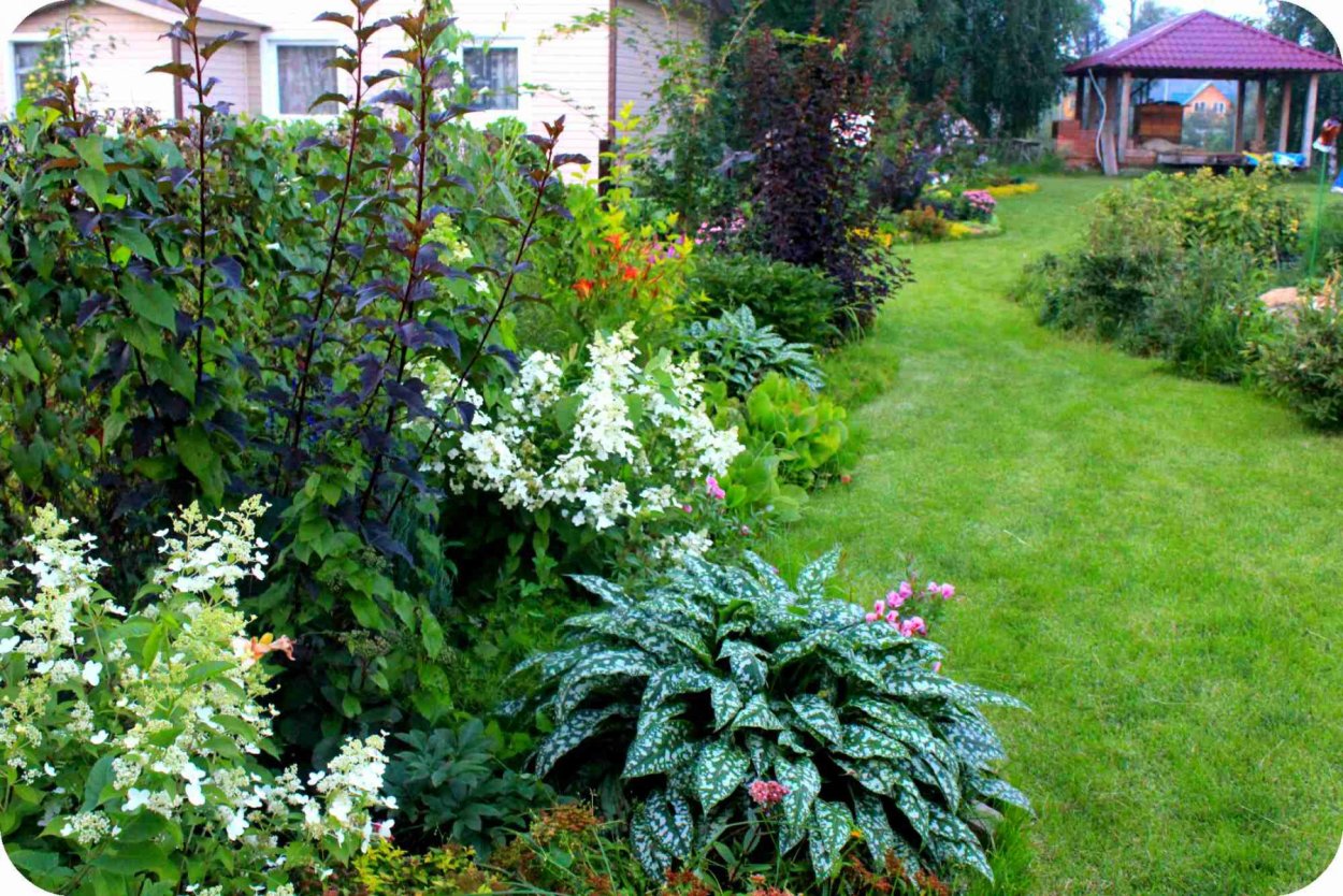 Гортензия и Вейник