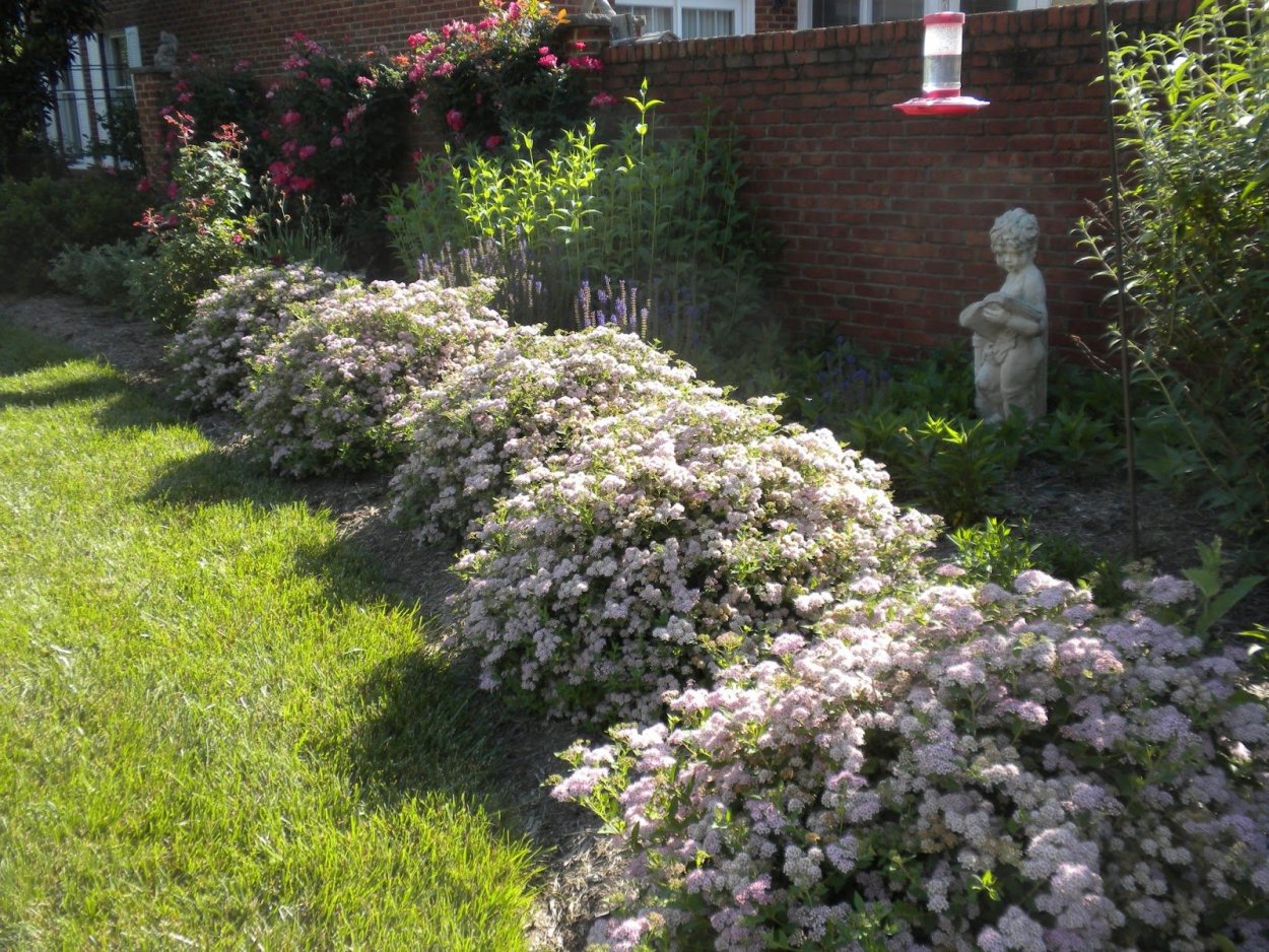 Ландшафтные композиции вдоль забора