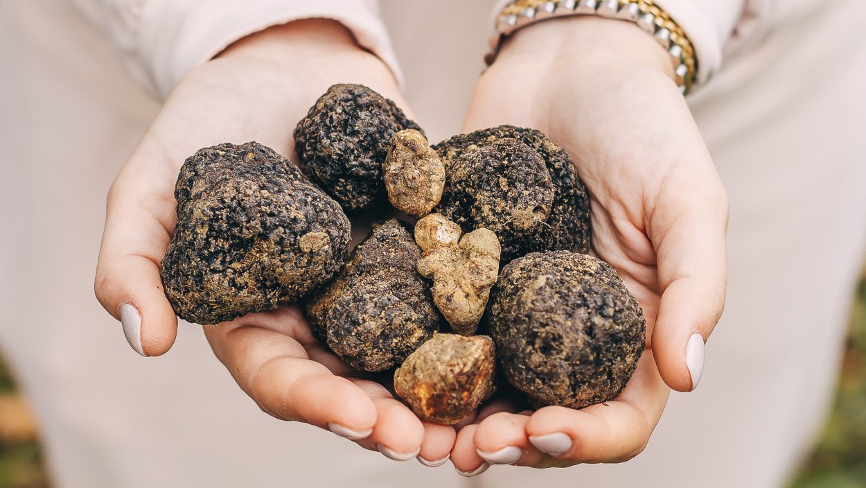 Эко трюфель