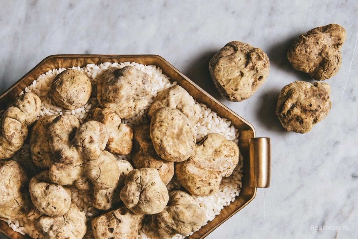 Трюфели и белые грибы