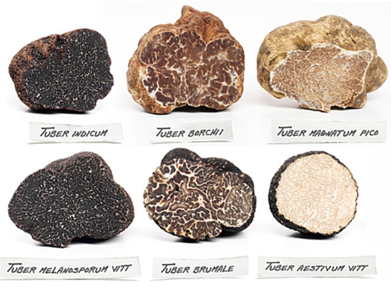 Трюфель внутри черный