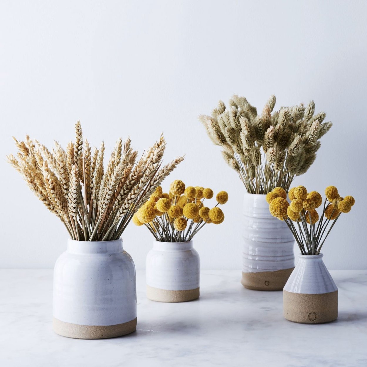 Сухоцветы Сканди