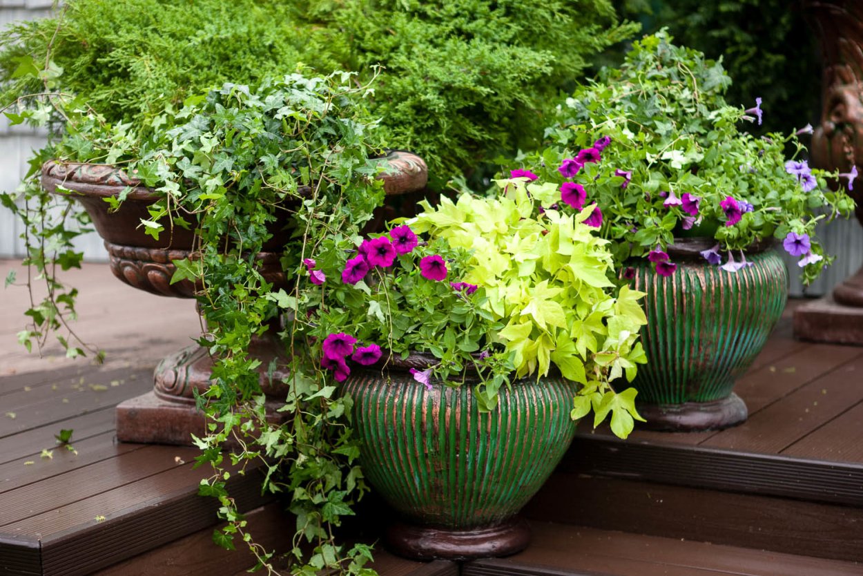 Декоративные вазоны