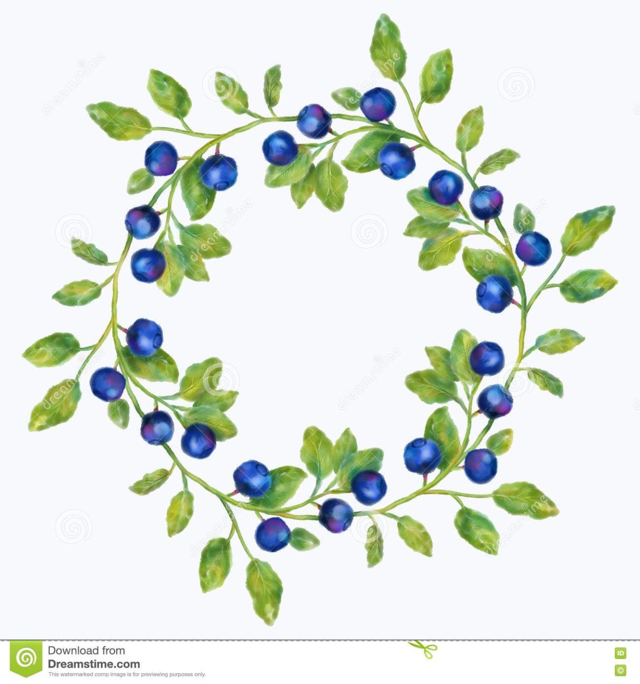 Черника венок акварель