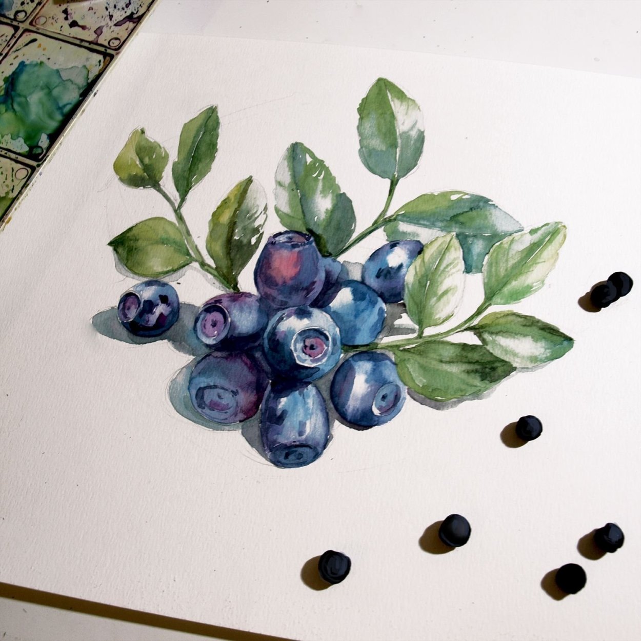 Голубика акварелью