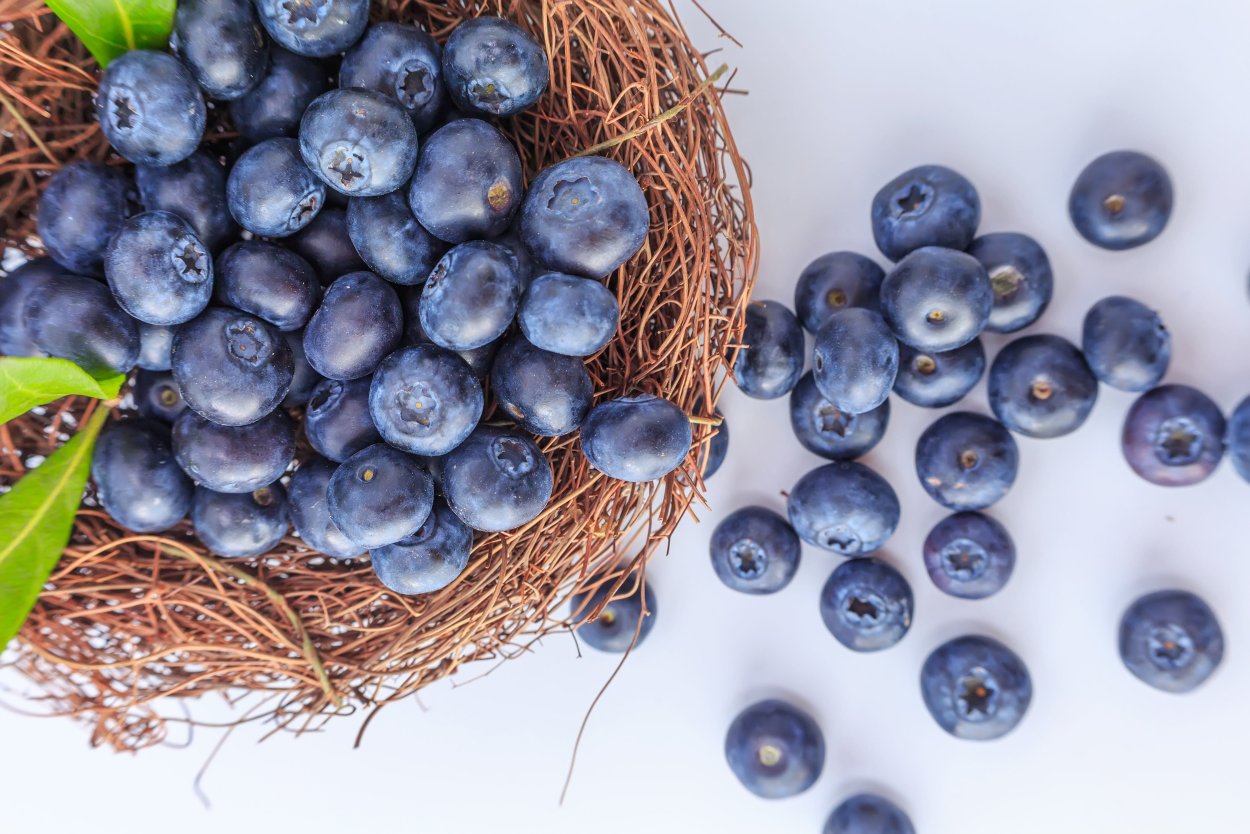 Ягоды черники и голубики