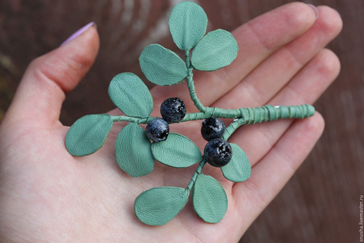 Черничная ветка