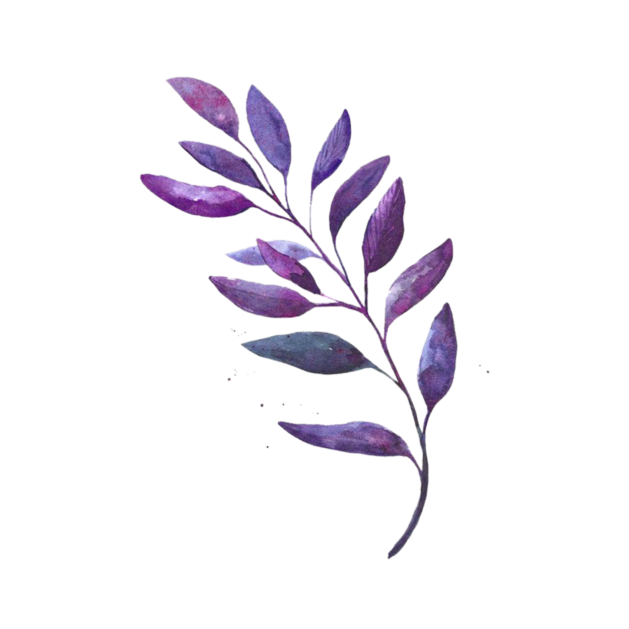 Зеленые листья акварель