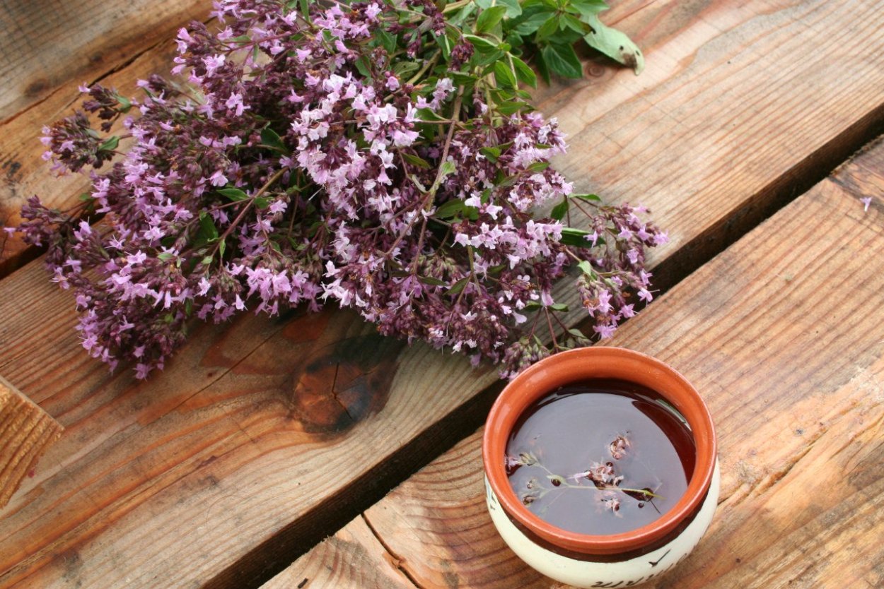 Горный чабрец