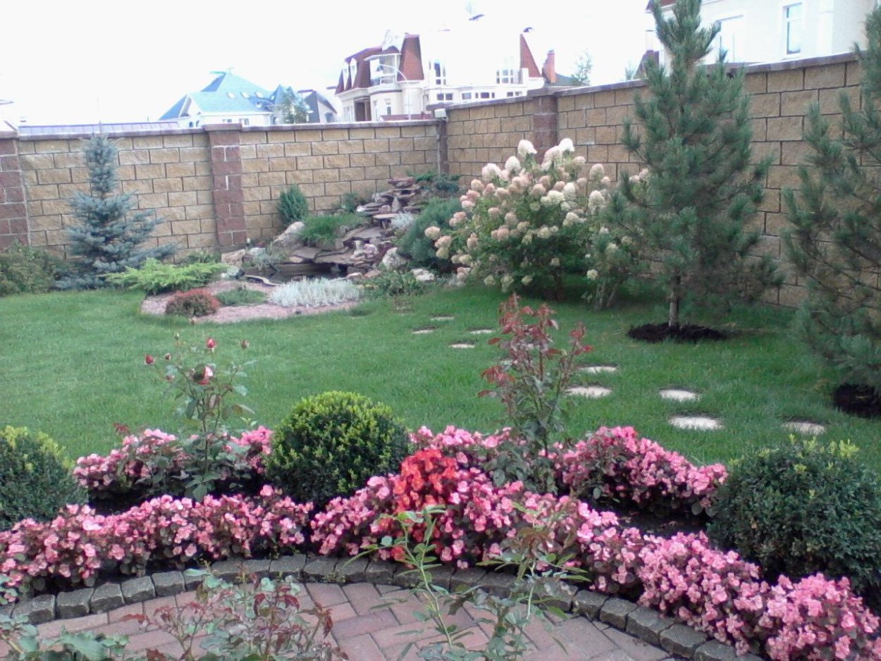 Клумба Магнолия рододендрон в ландшафтном